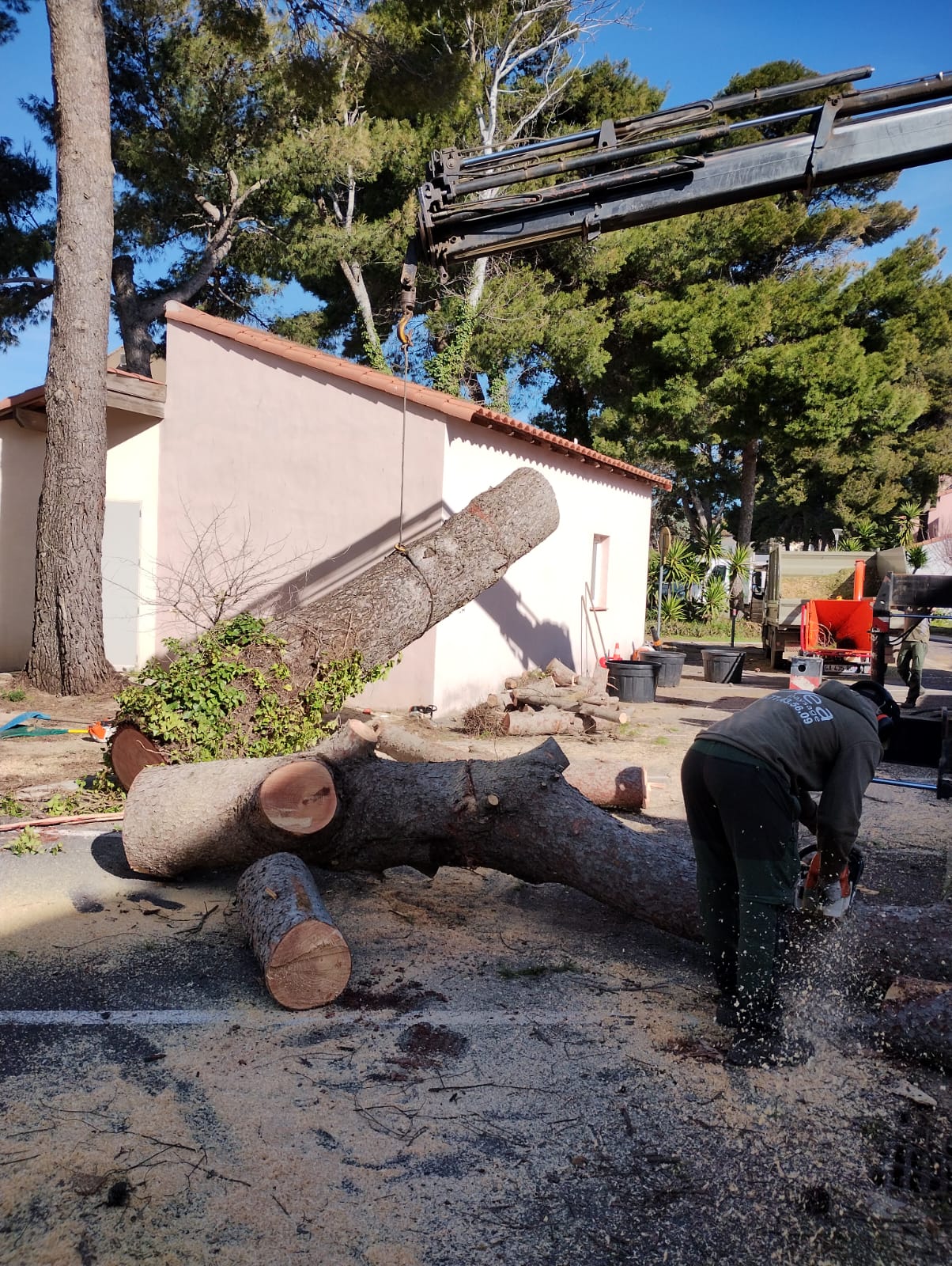 Cliquez pour agrandir