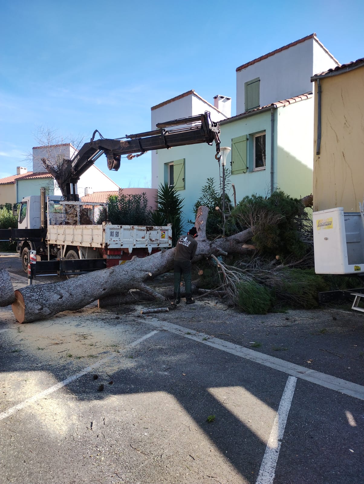 Cliquez pour agrandir