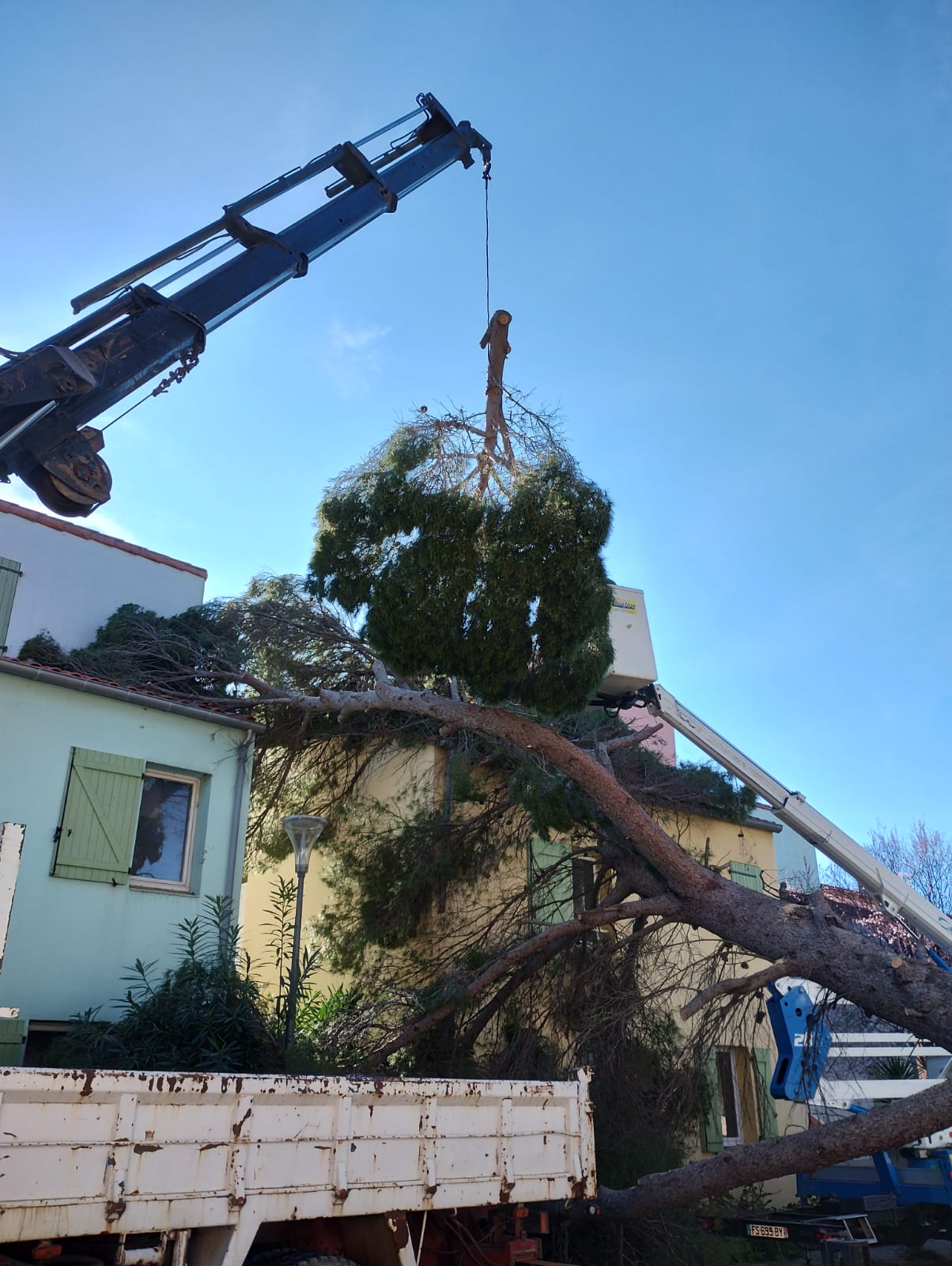 Cliquez pour agrandir