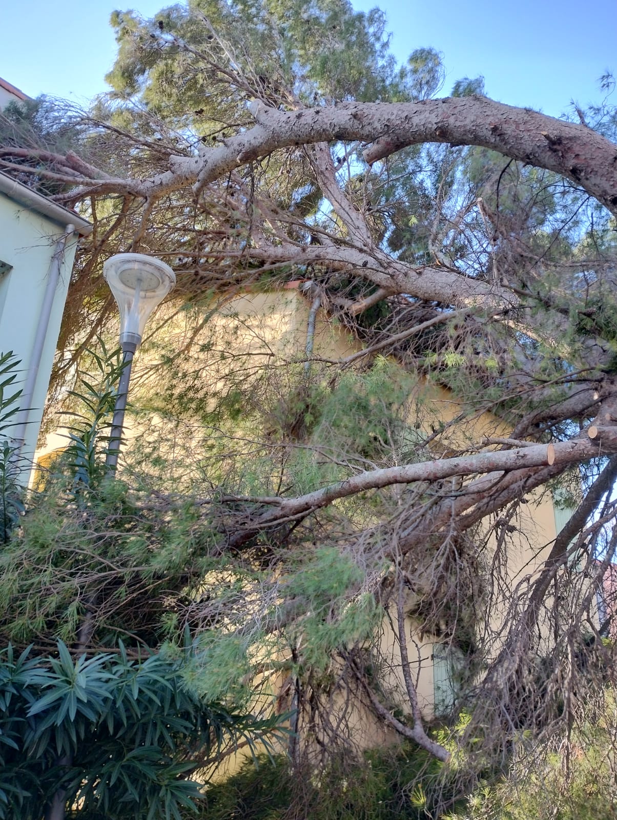 Cliquez pour agrandir