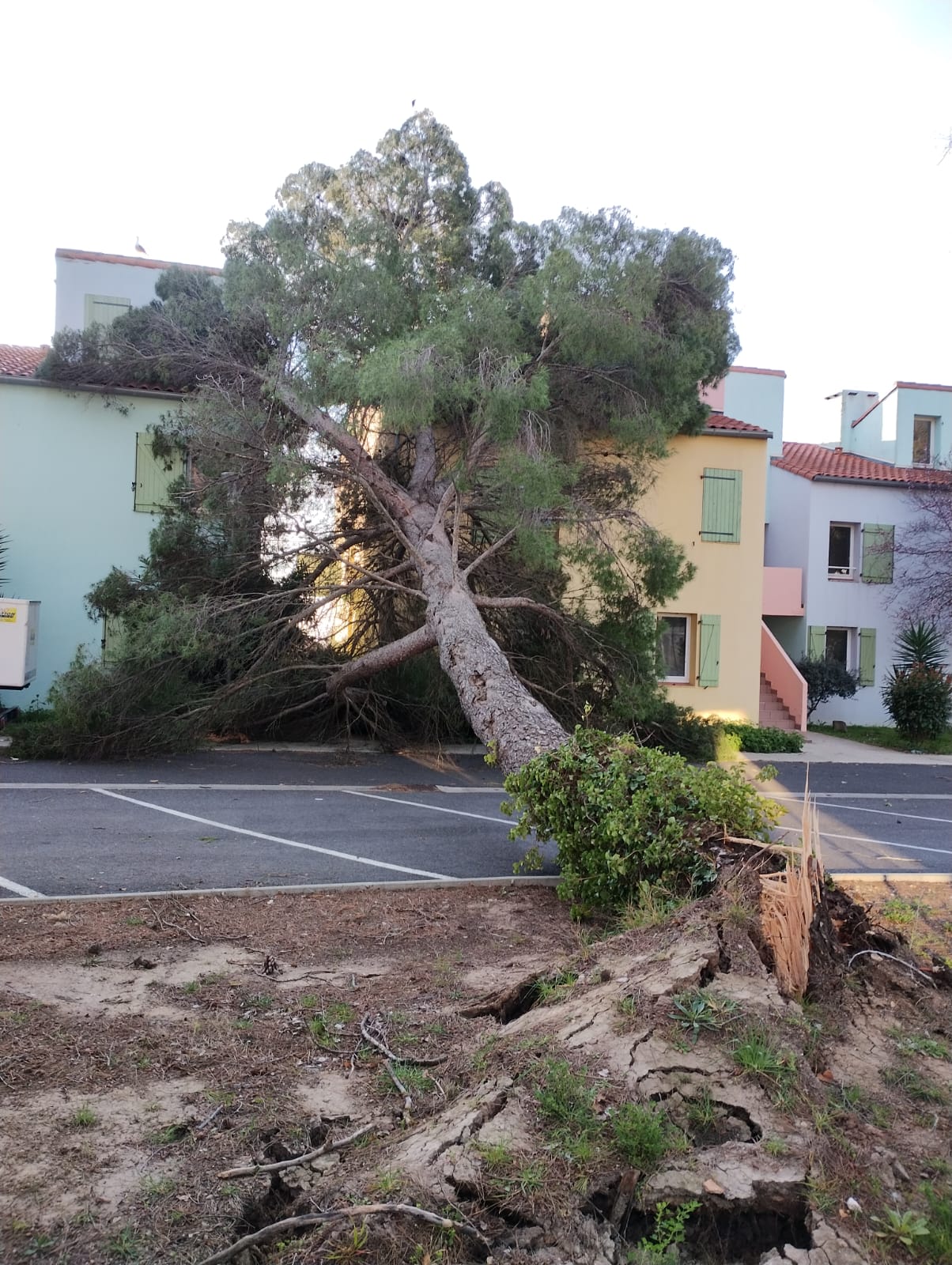 Cliquez pour agrandir