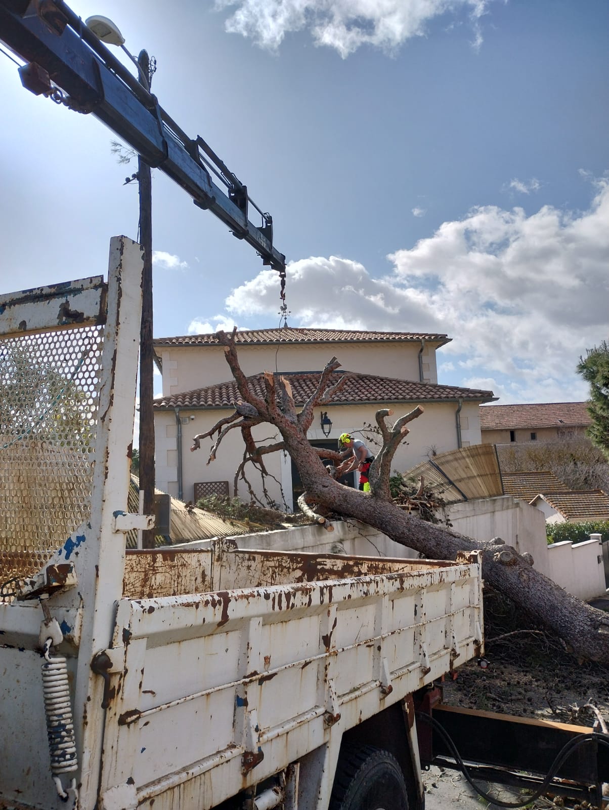 Cliquez pour agrandir