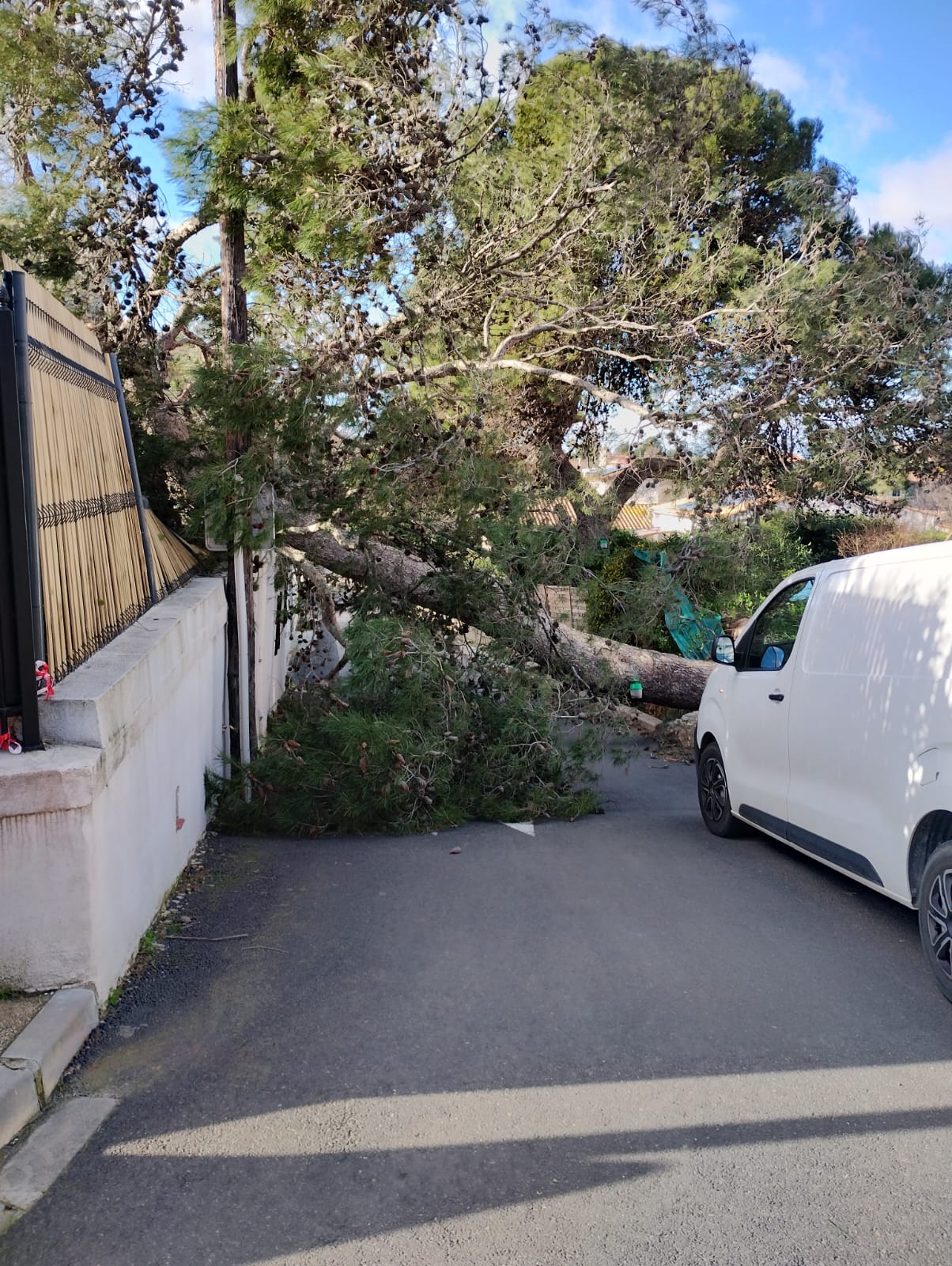 Cliquez pour agrandir