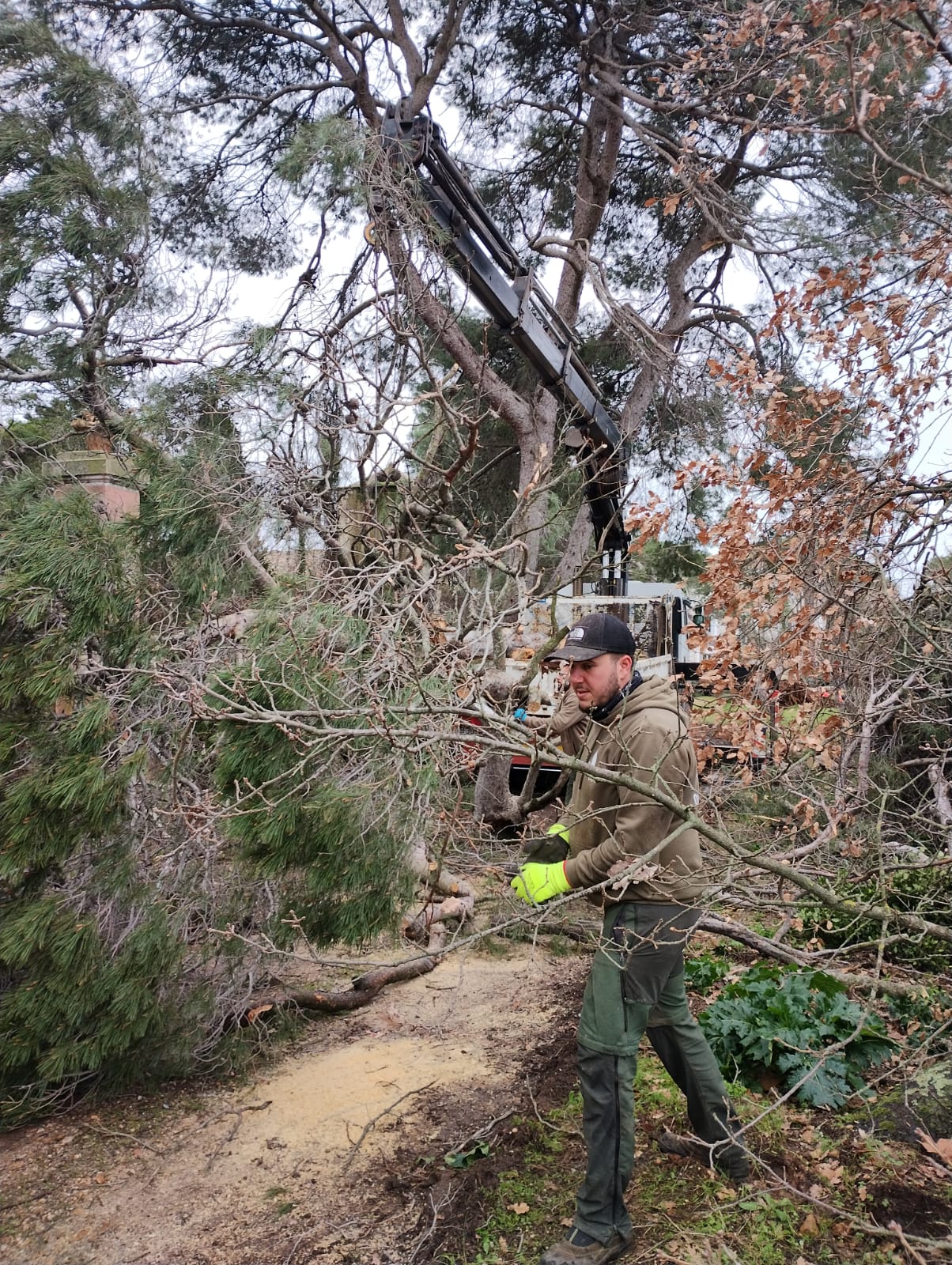 Cliquez pour agrandir