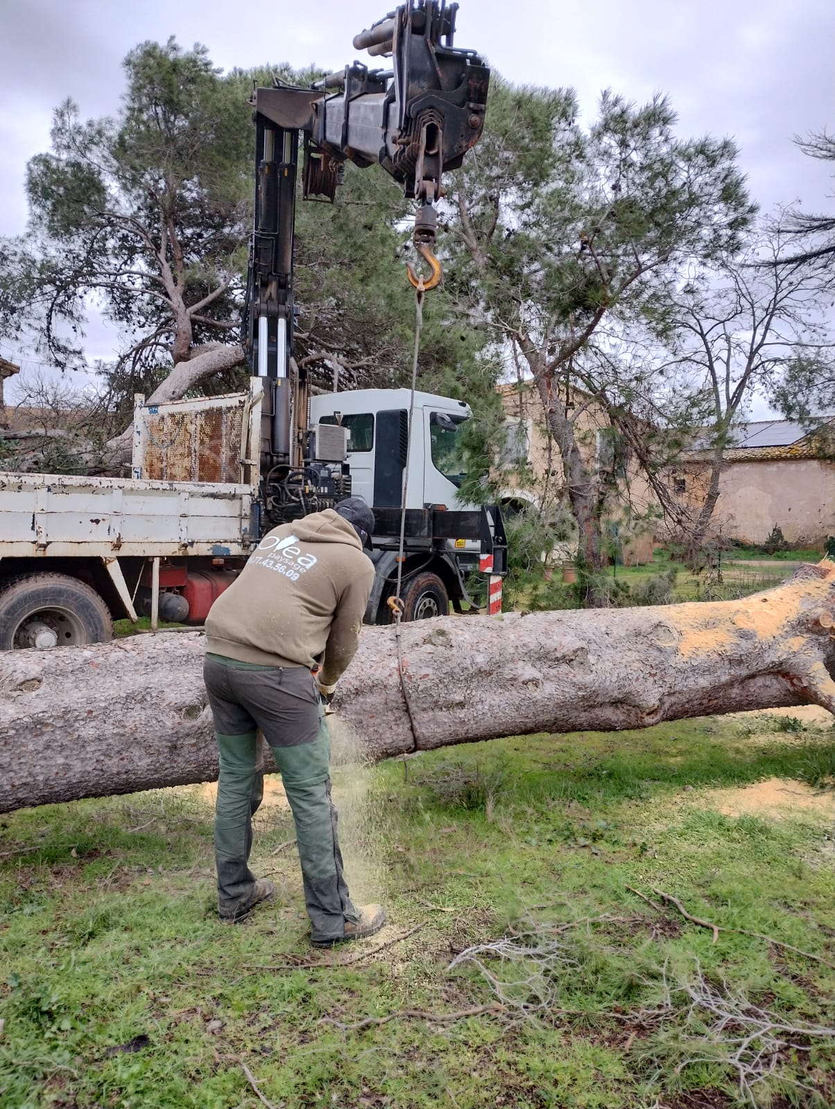 Cliquez pour agrandir