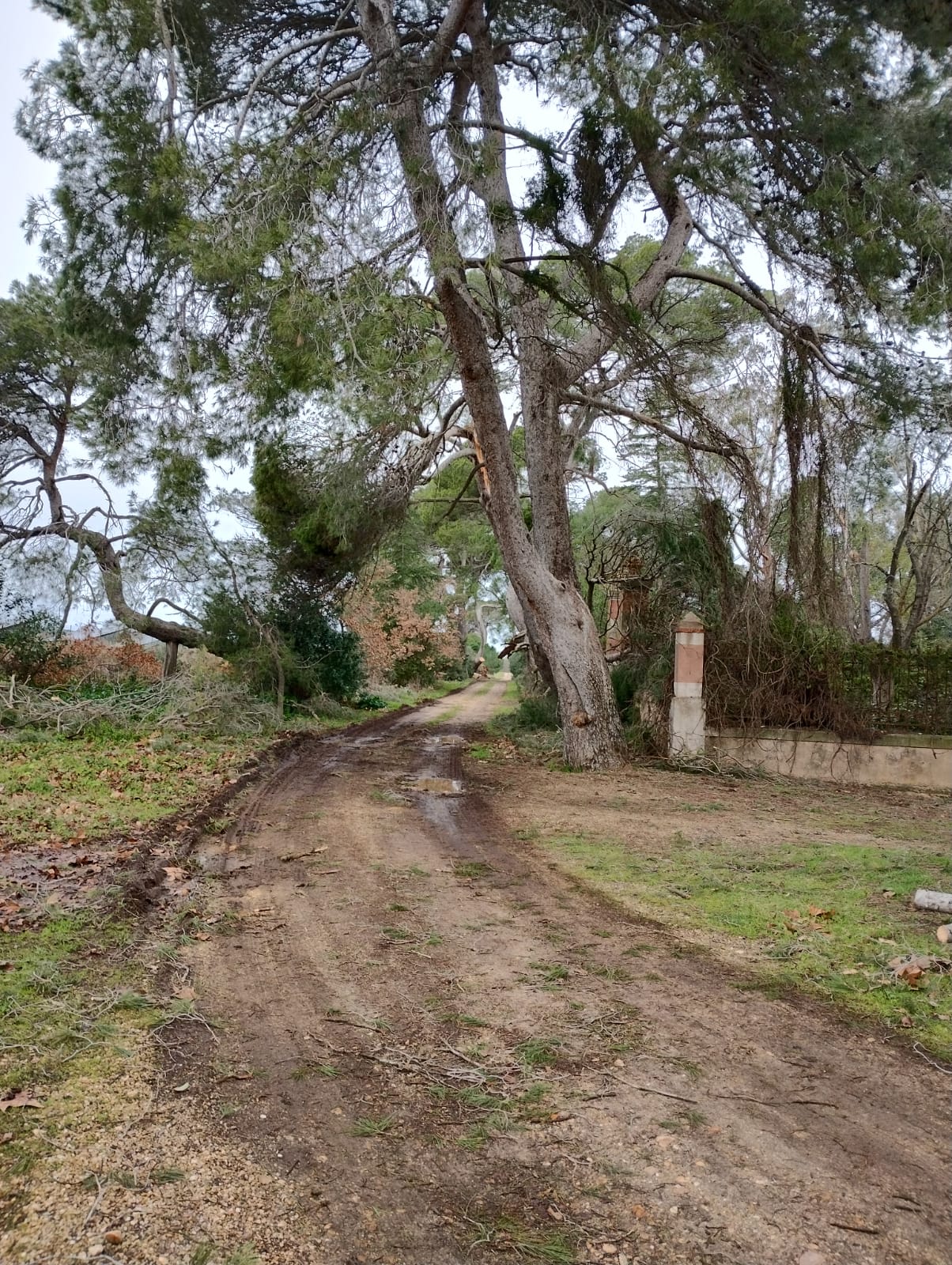 Cliquez pour agrandir