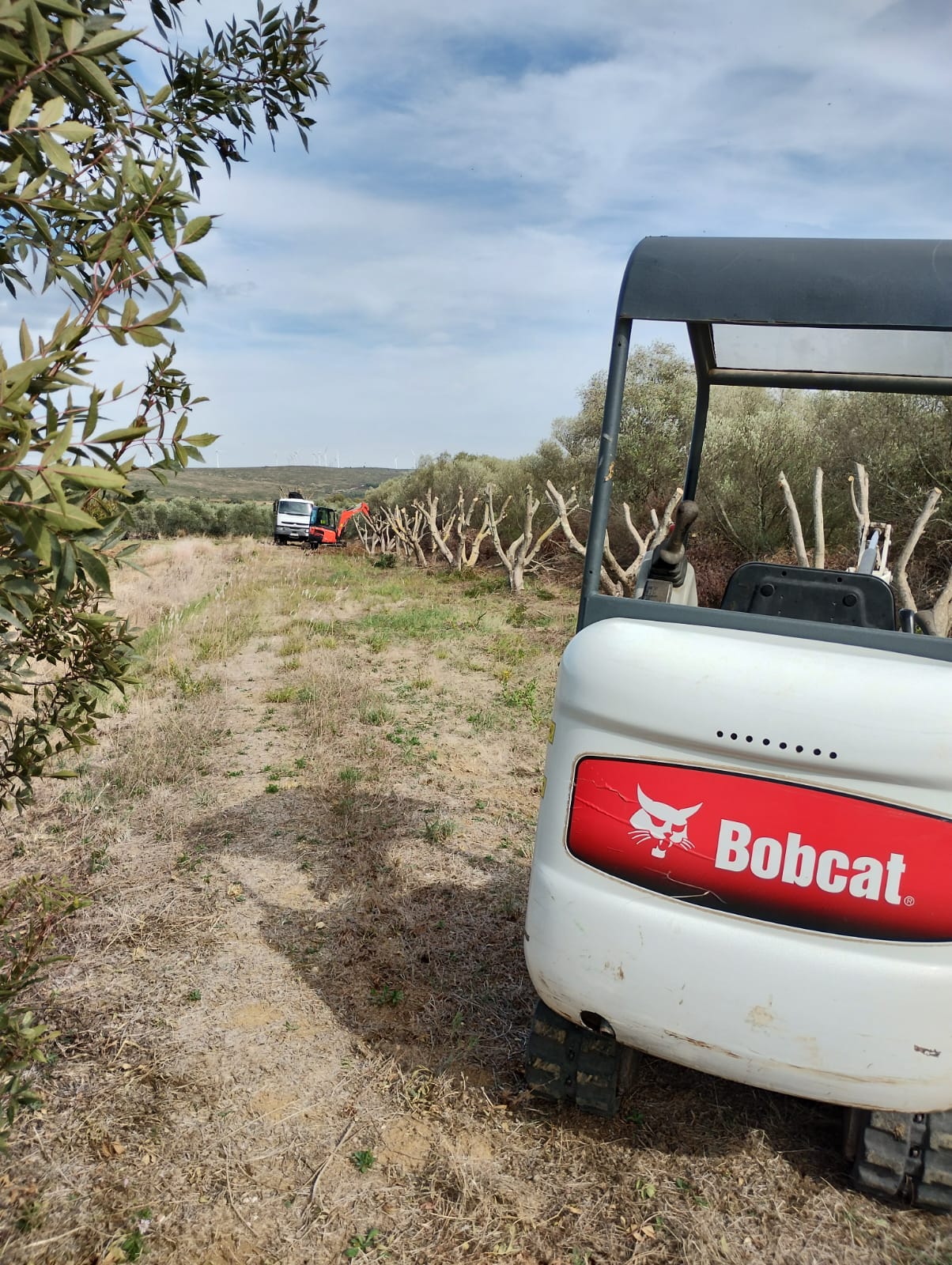 Cliquez pour agrandir