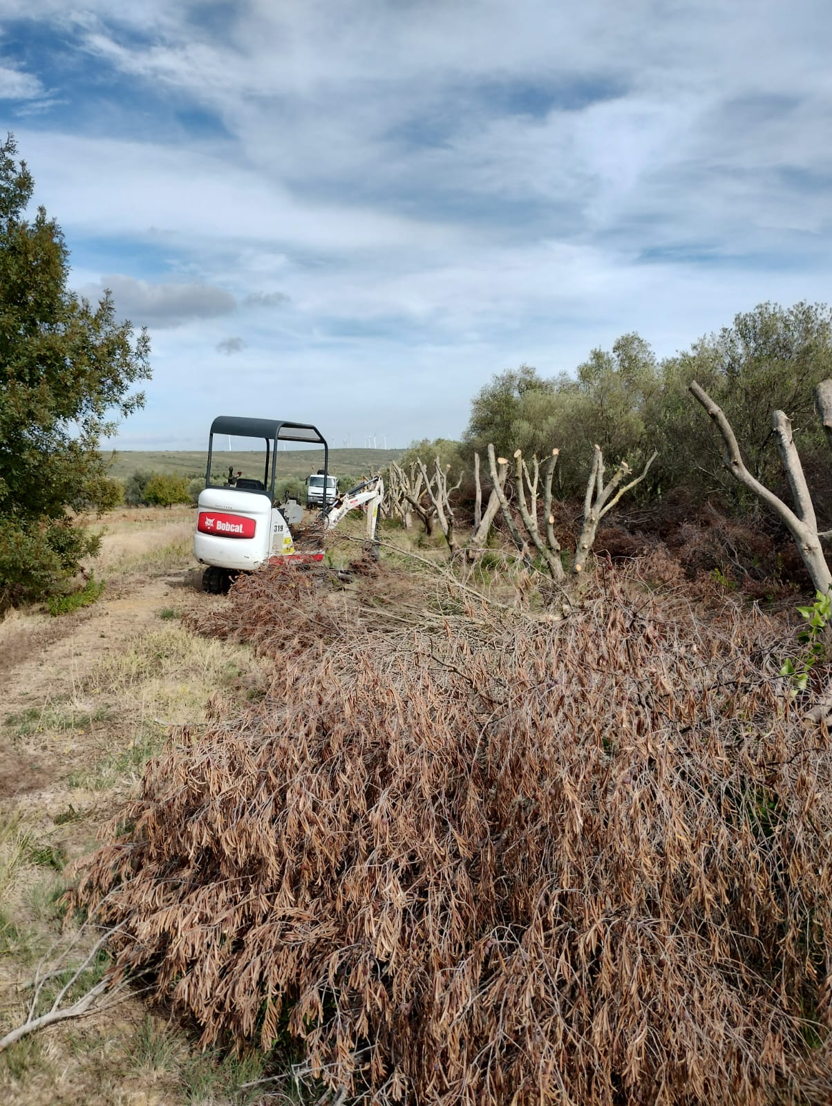 Cliquez pour agrandir