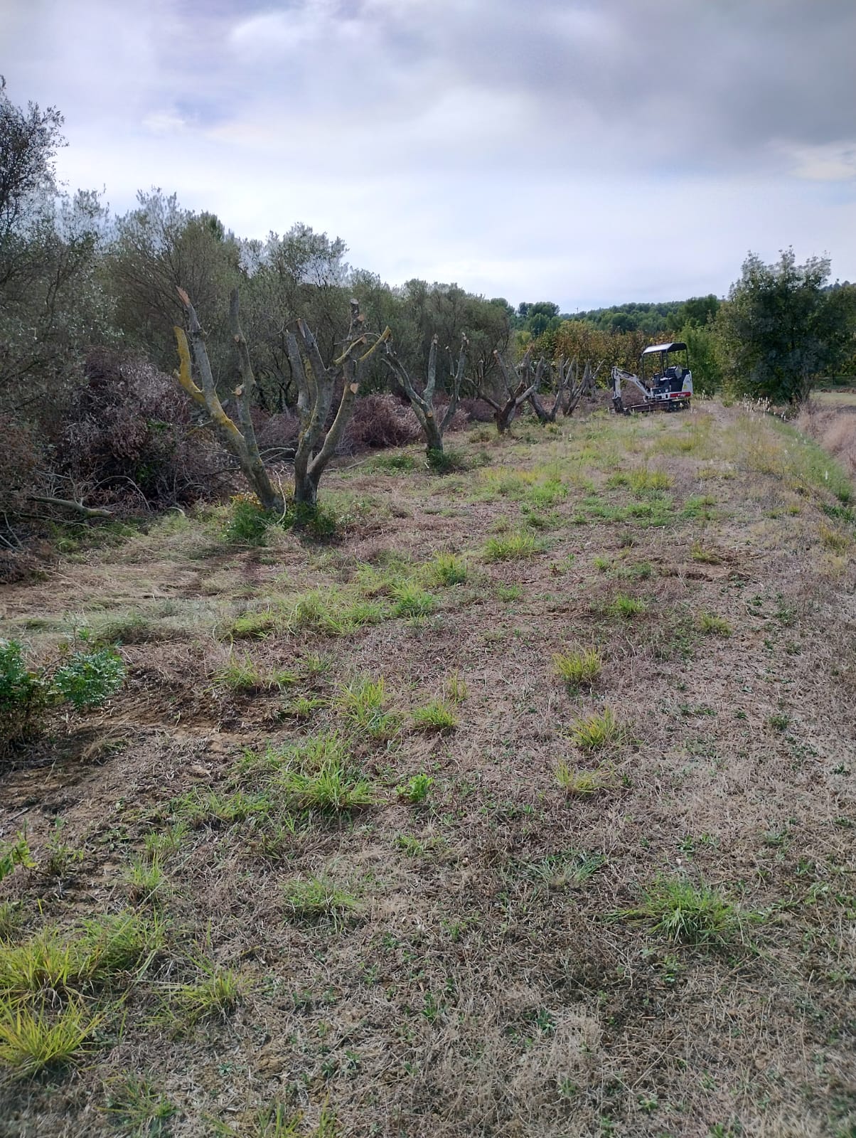 Cliquez pour agrandir