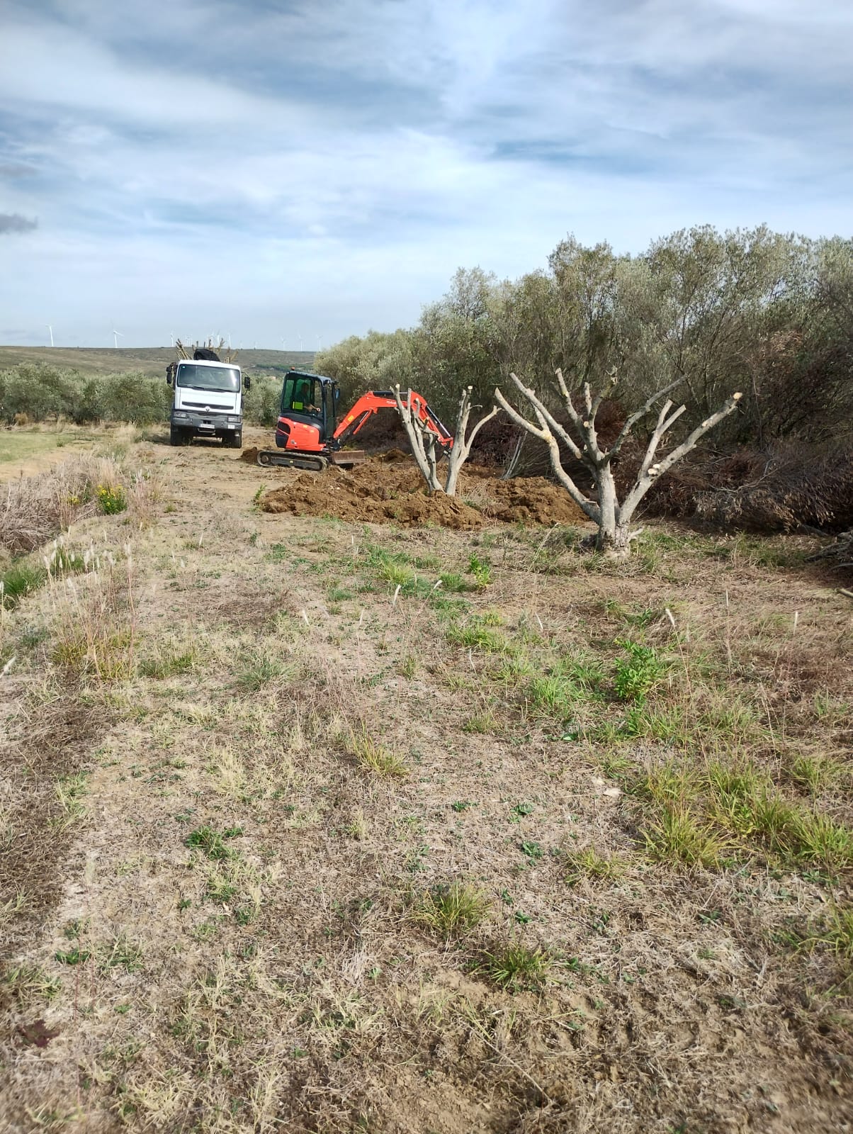 Cliquez pour agrandir